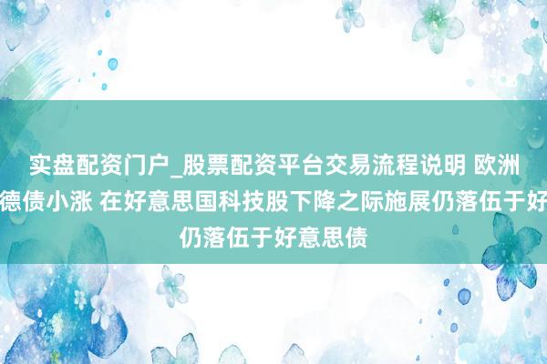 实盘配资门户_股票配资平台交易流程说明 欧洲债市：德债小涨 在好意思国科技股下降之际施展仍落伍于好意思债