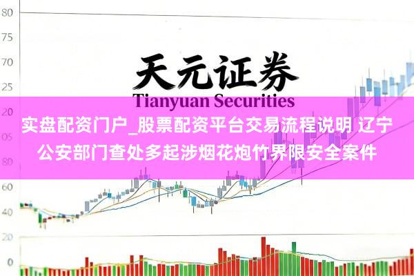 实盘配资门户_股票配资平台交易流程说明 辽宁公安部门查处多起涉烟花炮竹界限安全案件