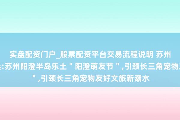 实盘配资门户_股票配资平台交易流程说明 苏州宠物游玩新遴选:苏州阳澄半岛乐土＂阳澄萌友节＂,引颈长三角宠物友好文旅新潮水