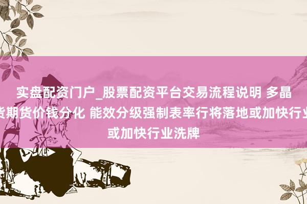 实盘配资门户_股票配资平台交易流程说明 多晶硅现货期货价钱分化 能效分级强制表率行将落地或加快行业洗牌